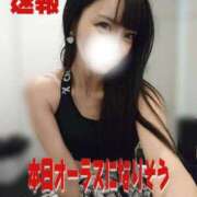 ヒメ日記 2026/01/03 05:38 投稿 みやこ 東京妻