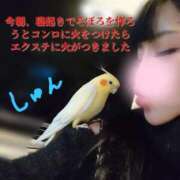 ヒメ日記 2026/01/08 10:08 投稿 みやこ 東京妻