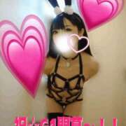 ヒメ日記 2026/02/19 17:18 投稿 みやこ 東京妻