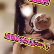 みやこ 凱旋門賞〜！！ 東京妻