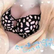 ヒメ日記 2025/05/31 21:05 投稿 まや clubさくら梅田店