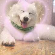 ヒメ日記 2025/08/29 10:12 投稿 ゆり わちゃわちゃ密着リアルフルーちゅ西船橋