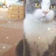 ヒメ日記 2025/09/02 12:20 投稿 ゆり わちゃわちゃ密着リアルフルーちゅ西船橋