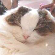 ヒメ日記 2025/09/05 12:58 投稿 ゆり わちゃわちゃ密着リアルフルーちゅ西船橋