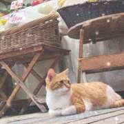 ヒメ日記 2025/09/17 23:20 投稿 ゆり わちゃわちゃ密着リアルフルーちゅ西船橋