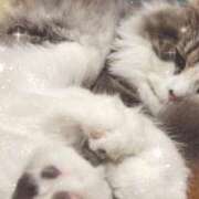 ヒメ日記 2025/09/19 12:20 投稿 ゆり わちゃわちゃ密着リアルフルーちゅ西船橋