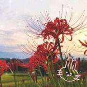 ヒメ日記 2025/09/24 23:50 投稿 ゆり わちゃわちゃ密着リアルフルーちゅ西船橋