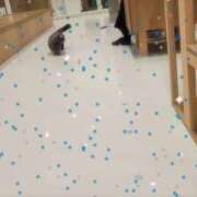 ヒメ日記 2026/02/05 18:48 投稿 ゆり わちゃわちゃ密着リアルフルーちゅ西船橋