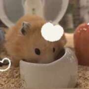 ヒメ日記 2026/03/09 17:48 投稿 ゆり わちゃわちゃ密着リアルフルーちゅ西船橋