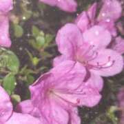 ヒメ日記 2026/06/04 23:58 投稿 ゆり わちゃわちゃ密着リアルフルーちゅ西船橋