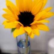 ヒメ日記 2025/09/01 02:40 投稿 水川紫苑(みずかわしおん) 五十路マダムエクスプレス厚木店(カサブランカグループ)