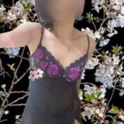 ヒメ日記 2026/04/05 03:04 投稿 水川紫苑(みずかわしおん) 五十路マダムエクスプレス厚木店(カサブランカグループ)