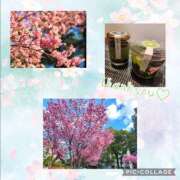 ヒメ日記 2025/03/09 21:38 投稿 かえで 横浜人妻セレブリティ（ユメオト）