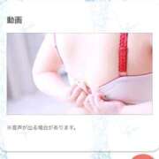 ヒメ日記 2025/02/13 14:13 投稿 まみ もみもみワンダーランド