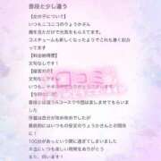 ヒメ日記 2025/06/09 12:20 投稿 りょうか 電車ごっこ