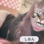 ヒメ日記 2025/01/28 10:41 投稿 しおん【ロイヤルOP対応】 あなたの全てを包み込む　優しいひとづま