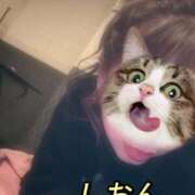 ヒメ日記 2025/02/23 15:41 投稿 しおん【ロイヤルOP対応】 あなたの全てを包み込む　優しいひとづま