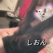 ヒメ日記 2025/03/01 10:48 投稿 しおん【ロイヤルOP対応】 あなたの全てを包み込む　優しいひとづま