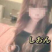 ヒメ日記 2025/03/10 09:52 投稿 しおん【ロイヤルOP対応】 あなたの全てを包み込む　優しいひとづま