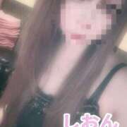 ヒメ日記 2025/03/22 10:33 投稿 しおん【ロイヤルOP対応】 あなたの全てを包み込む　優しいひとづま