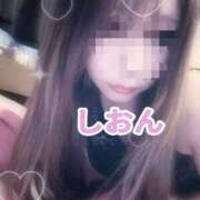 ヒメ日記 2025/04/01 11:41 投稿 しおん【ロイヤルOP対応】 あなたの全てを包み込む　優しいひとづま