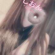 ヒメ日記 2025/04/08 10:17 投稿 しおん【ロイヤルOP対応】 あなたの全てを包み込む　優しいひとづま