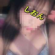 ヒメ日記 2025/05/06 10:40 投稿 しおん【ロイヤルOP対応】 あなたの全てを包み込む　優しいひとづま