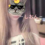 ヒメ日記 2025/06/02 11:16 投稿 しおん【ロイヤルOP対応】 あなたの全てを包み込む　優しいひとづま