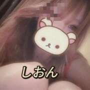 ヒメ日記 2025/06/04 17:48 投稿 しおん【ロイヤルOP対応】 あなたの全てを包み込む　優しいひとづま