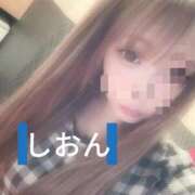 ヒメ日記 2025/06/13 10:42 投稿 しおん【ロイヤルOP対応】 あなたの全てを包み込む　優しいひとづま