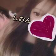 ヒメ日記 2025/06/20 10:11 投稿 しおん【ロイヤルOP対応】 あなたの全てを包み込む　優しいひとづま