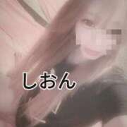 ヒメ日記 2025/06/28 10:46 投稿 しおん【ロイヤルOP対応】 あなたの全てを包み込む　優しいひとづま