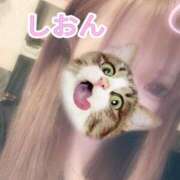 ヒメ日記 2025/07/14 11:57 投稿 しおん【ロイヤルOP対応】 あなたの全てを包み込む　優しいひとづま