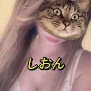 ヒメ日記 2025/07/20 18:51 投稿 しおん【ロイヤルOP対応】 あなたの全てを包み込む　優しいひとづま