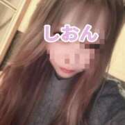 ヒメ日記 2025/09/11 19:13 投稿 しおん【ロイヤルOP対応】 あなたの全てを包み込む　優しいひとづま