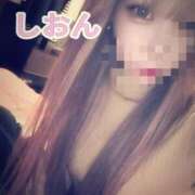 ヒメ日記 2025/09/29 12:22 投稿 しおん【ロイヤルOP対応】 あなたの全てを包み込む　優しいひとづま