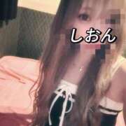 ヒメ日記 2025/10/05 12:55 投稿 しおん【ロイヤルOP対応】 あなたの全てを包み込む　優しいひとづま