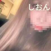 ヒメ日記 2025/10/10 10:23 投稿 しおん【ロイヤルOP対応】 あなたの全てを包み込む　優しいひとづま