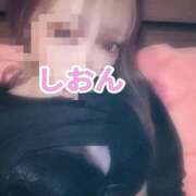 ヒメ日記 2025/10/21 10:08 投稿 しおん【ロイヤルOP対応】 あなたの全てを包み込む　優しいひとづま