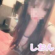 ヒメ日記 2025/11/07 10:03 投稿 しおん【ロイヤルOP対応】 あなたの全てを包み込む　優しいひとづま