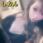 ヒメ日記 2025/11/08 10:23 投稿 しおん【ロイヤルOP対応】 あなたの全てを包み込む　優しいひとづま