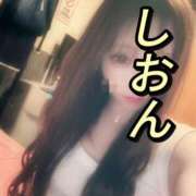 ヒメ日記 2025/11/14 11:55 投稿 しおん【ロイヤルOP対応】 あなたの全てを包み込む　優しいひとづま