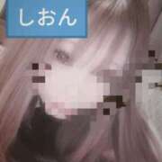 ヒメ日記 2025/11/18 11:21 投稿 しおん【ロイヤルOP対応】 あなたの全てを包み込む　優しいひとづま