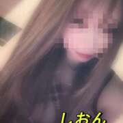 ヒメ日記 2025/11/22 10:43 投稿 しおん【ロイヤルOP対応】 あなたの全てを包み込む　優しいひとづま