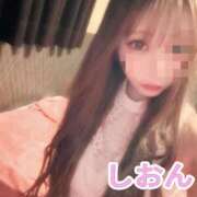 ヒメ日記 2025/11/29 10:57 投稿 しおん【ロイヤルOP対応】 あなたの全てを包み込む　優しいひとづま