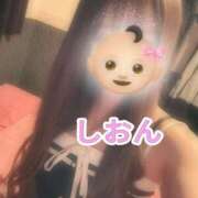 ヒメ日記 2025/12/29 10:55 投稿 しおん【ロイヤルOP対応】 あなたの全てを包み込む　優しいひとづま