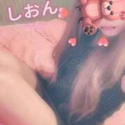 ヒメ日記 2026/02/18 10:54 投稿 しおん【ロイヤルOP対応】 あなたの全てを包み込む　優しいひとづま