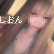 ヒメ日記 2026/02/22 11:34 投稿 しおん【ロイヤルOP対応】 あなたの全てを包み込む　優しいひとづま