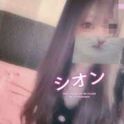 ヒメ日記 2026/02/24 17:43 投稿 しおん【ロイヤルOP対応】 あなたの全てを包み込む　優しいひとづま