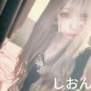 ヒメ日記 2026/02/25 10:41 投稿 しおん【ロイヤルOP対応】 あなたの全てを包み込む　優しいひとづま